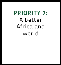 Priority 7